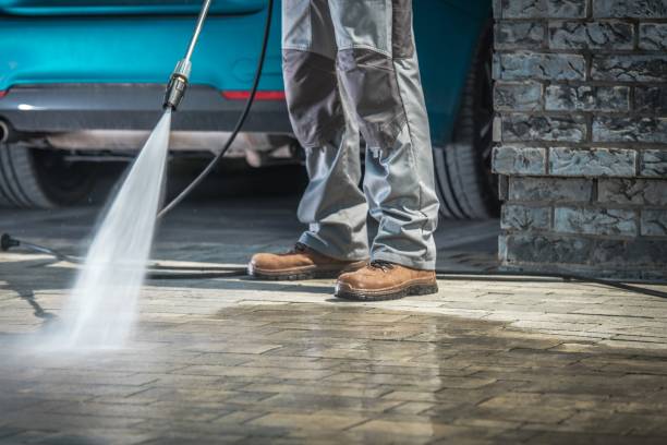 Best Soft Washing  in Beech Island, SC